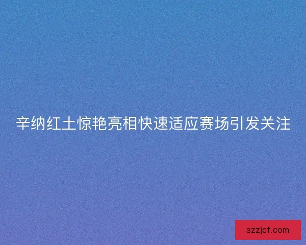辛纳红土惊艳亮相快速适应赛场引发关注